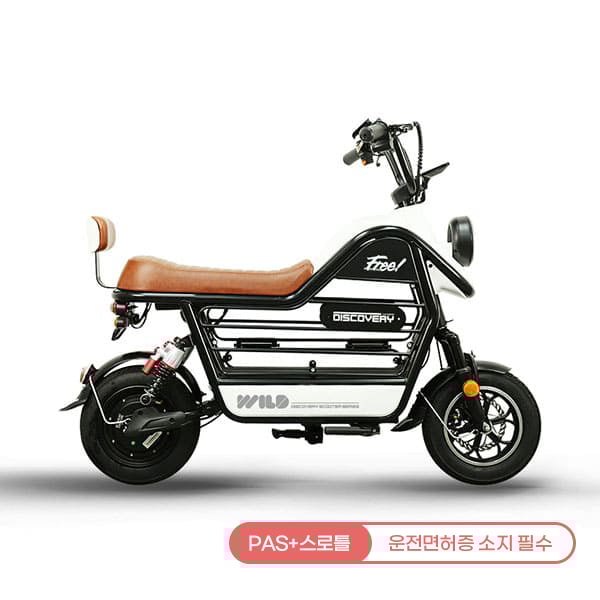 [레이윙] 디스커버리 와일드 S20 16A 전기 전동스쿠터